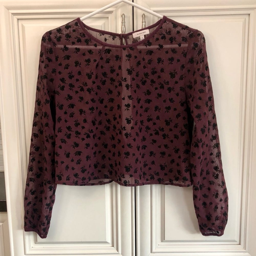 Aritzia Sunday Best women’s sheer blouse